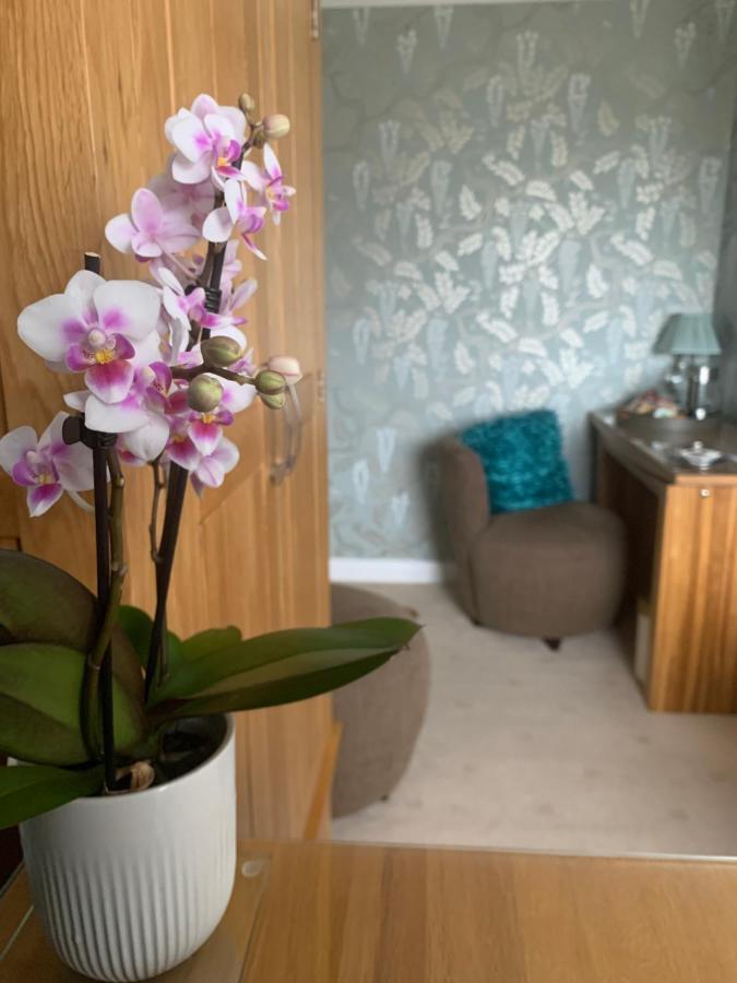 סנט דייוידס Ramsey House - Luxury Licensed B&B - Parking And Guest Lounge מראה חיצוני תמונה